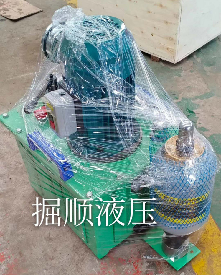 電動液壓泵發貨陜西促生長
