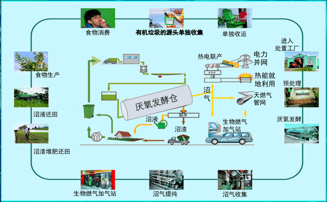 有機垃圾處理系統：破解有機垃圾處置難題